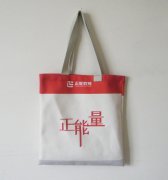 宣传教育专用正能量帆布